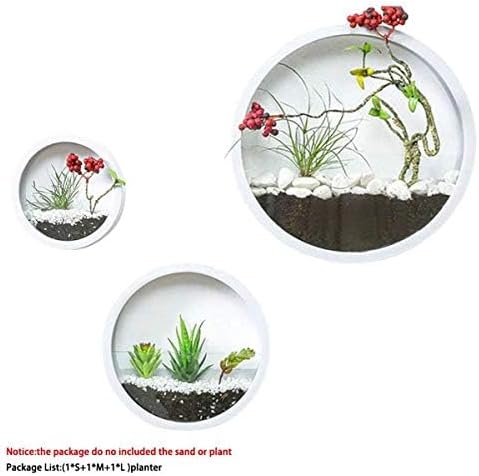 3 Pack Set Wall Planters,Modern Round Glass Wall Planter Succulent Planter Circle Iron Hanging Planter Vase for Herb,Small Cactus Perfect for Balcony, Room and Patio Decor (White) - Image 6