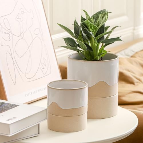 Nihow Self Watering Ceramic Planter, 4.5+6 Inch, White & Nature - Image 5