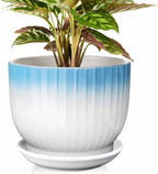 8 Inch Ceramic Plant Pot, Blue + White by YUFDA