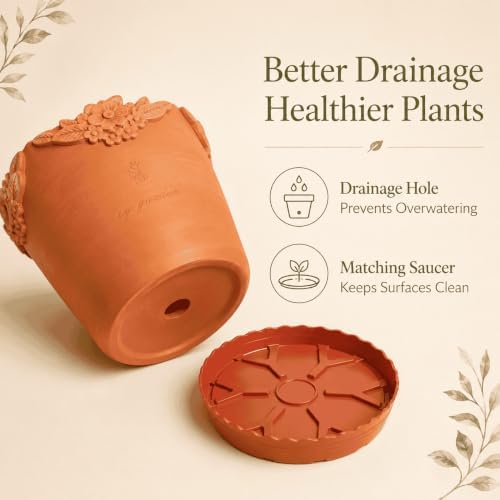 8 Inch Terracotta Plant Pots with Floral Rim and Saucer - Image 4