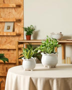 Fayoula Ceramic Planter, 2 Piece Ceramic Planter Set with Drainage Hole for Home and Office, Indoor Plant Potting, Suitable for Succulents, Bonsai, Snake Grass and Money Tree, etc. (White) - Image 4