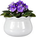 Self Watering Pot for African Violets Indoor Outdoor Plants, 7 inch, White by SanmudecorGarden