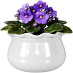 Self Watering Pot for African Violets Indoor Outdoor Plants, 7 inch, White by SanmudecorGarden