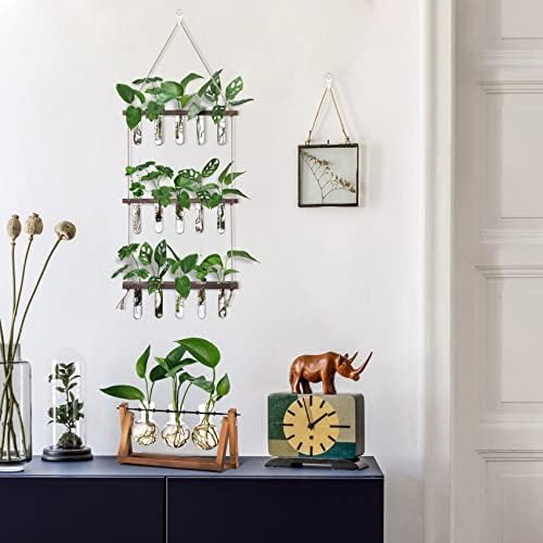 XXXFLOWER Wall Hanging Propagation Station with 5 Glass Test Tubes 3 Tiers+Wall Hanging Glass Terrariums,Heart-Shaped Set of 4 - Image 5