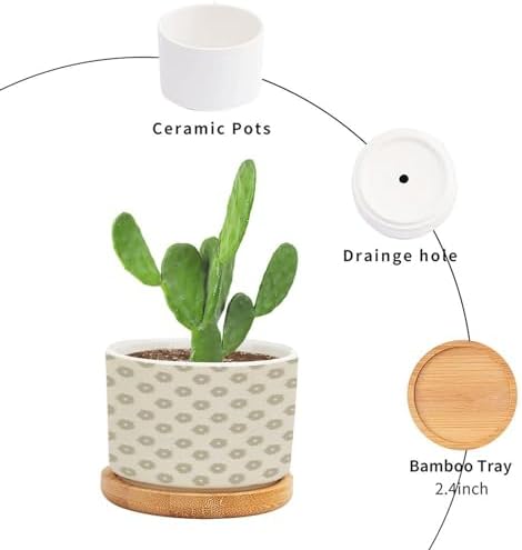 Timur in Blue Background Ceramic Planters Geometric Modern Snake Plant Live Indoor with Pot with Drainage Holes and Saucers Pot for Outdoor Garden Home Plant - Image 3