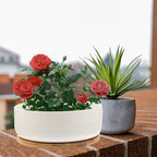 White Ceramic Succulent Pot with Bamboo Tray and Drain Holes - Image 6