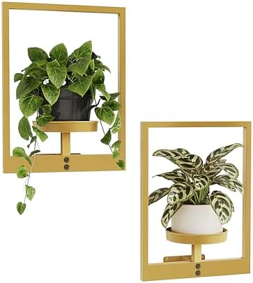 Bamworld Wall Plant Holder Plant Stand Indoor Wall Planters Gold by Bamworld