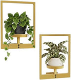 Bamworld Wall Plant Holder Plant Stand Indoor Wall Planters Gold by Bamworld
