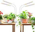 Aumtrly Plant Light Clip on, 2 Pack White, 228 LED Full Spectrum Grow Lamp by Aumtrly