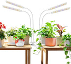 Aumtrly Plant Light Clip on, 2 Pack White, 228 LED Full Spectrum Grow Lamp by Aumtrly