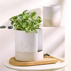 Nihow Self Watering Pots for Indoor Plants,8 Inch,White & Nature - Image 5