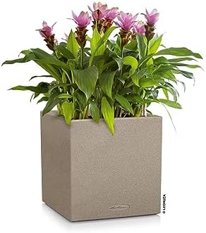 Lechuza Canto Stone Low 30 Sand Beige, Self-Watering Square Planter, H11.8 L11.8 W11.8 in - Image 2
