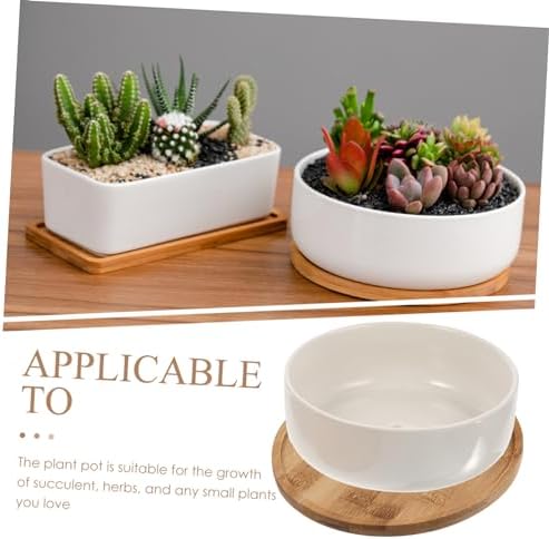White Ceramic Succulent Pot with Tray and Bamboo Holder for Small Plants - Image 6