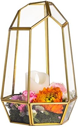 NCYP NO Door Gold Geometric Glass Terrarium for Succulent Air Plants by NCYP