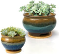 8 and 5.5 Inch Succulent Pot with Drainage and Saucer Glazed Terracotta Round Ceramic Succulent Planter Cactus Bonsai Plant Pot (Brown and Green) by SUMMERIMPRESSIONS