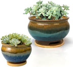 8 and 5.5 Inch Succulent Pot with Drainage and Saucer Glazed Terracotta Round Ceramic Succulent Planter Cactus Bonsai Plant Pot (Brown and Green) by SUMMERIMPRESSIONS