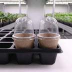 Luxshiny 20 Sets Seedling Pulp Cups with Humidity Dome, 8cm Nursery Pots - Image 5