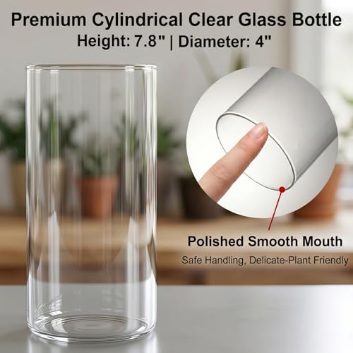 Desktop Glass Plant Terrarium with Grow Light for Carnivorous Plants & Moss - Image 5