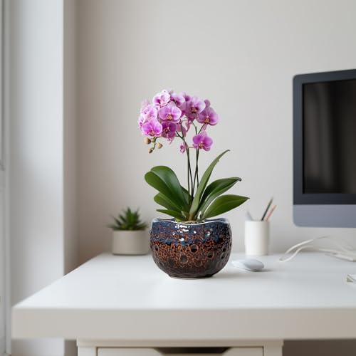 6 Inch Plant Pot, Ceramic Pots for Indoor Plants, Brown-Blue - Image 5