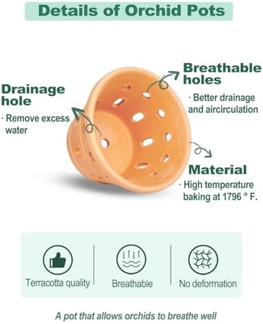 vensovo 5 Inch Terracotta Orchid Pots with Holes, 6 Pack Clay Planters - Image 3
