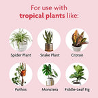 Miracle-Gro Tropical Potting Mix, 6 qt. (2-Pack) - Image 6
