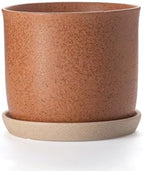 8 Inch Ceramic Plant Pot with Drainage Hole & Separate Saucer by Chubacoo