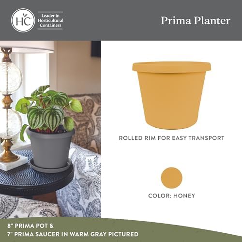 The HC Companies Prima Round Planter Pot, 8 Inch, Honey, 4-Pack - Image 2