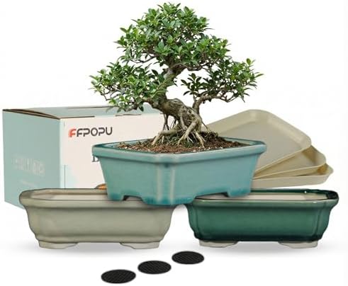 3-Pack 6 Inch Ceramic Bonsai Pots with Drainage Tray for Desktop by FFPOPU