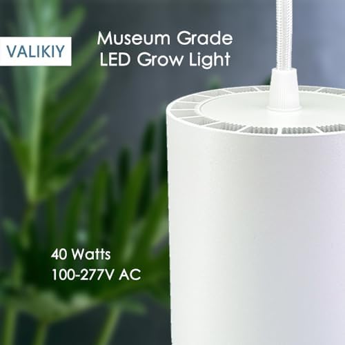 Hanging Grow Light 40W Large, Full Spectrum Warm White Color Plant Lamp, 120V Plug-in with Timer, 15FT Fabric Power Cord, Decorative Pendant Plant Light - Image 2