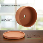 JUXYES 10 Inch Shallow Terracotta Pots with Holes and Saucers for Succulent - Image 3