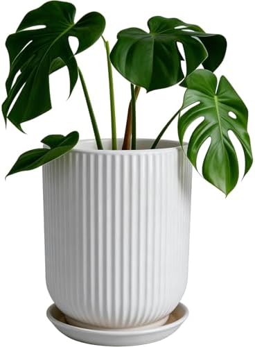 Deep Dream 8 Inch Ceramic Pots for Plants, Heavy Plant Pot for Indoor Outdoor Plants, Large Plant Pot with Drainage Hole and Saucer, Modern Tall Flower Pot, Gifts for Plant Lovers, White by DeepDream