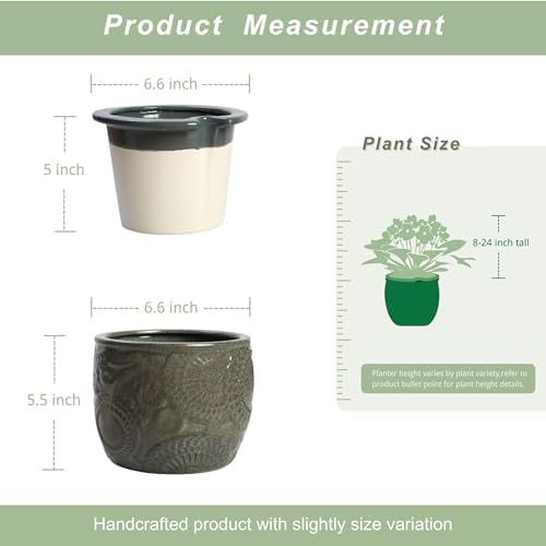 HERDUK 6.5” Ceramic Self Watering African Violet Planter with Embossed Floral Design – Durable Indoor Plant Pot for Orchids, Succulents, and Houseplants - Image 2