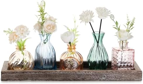 Glasseam Glass Bud Vases for Flower: 5 Pcs Small Vases with Wooden Tray by Glasseam
