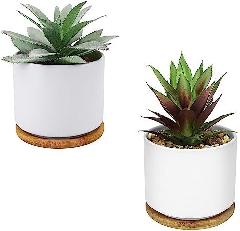 Hopewood Cute Indoor Decor Plants, Artificial Succulent Plants in Ceramic Pots with Bamboo Tray, Faux Potted Plants by Hopewood