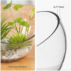 WGV Slant Cut Bowl Glass Vase Bulk, Width 11", Height 9.5", Clear Terrarium, Candy Dish, Fruit Jar, Floral Container for Wedding Party Event, Home Office Decor, 2 Pieces - Image 3