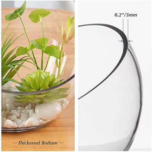 WGV Slant Cut Bowl Glass Vase, Width 11", Height 9.5", Clear Terrarium, Candy Dish, Fruit Jar, Floral Container for Wedding Party Event, Home Office Decor, 1 Piece - Image 3