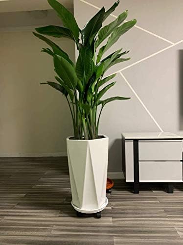 2 Pack 15.5" White Plant Caddy Round Movable Planter with Easy Moving Caster Wheels Dolly Trolley Tray Pallet Outdoor Indoor Tree Flower Stand Planter - Image 6