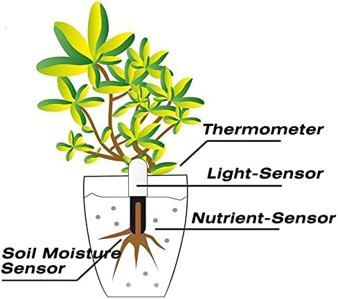 Soil Moisture Meter 4 in 1,Plant Water Monitor,Automatically detect Moisture/Temperature/Light/Fertility,Can Connect to Mobile Phone via Bluetooth,Hygrometer Sensor for Indoor Plants (3pc) - Image 3