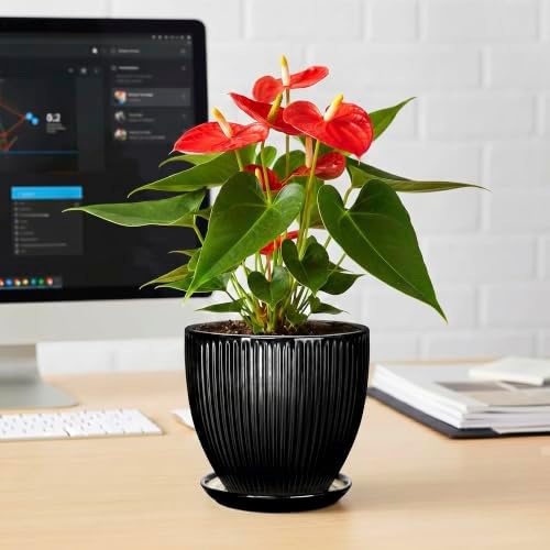 6 Inch Ceramic Planter, Indoor Plant Pots with Saucer, Black - Image 6