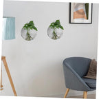 Generic 4pcs Glass Wall Planters for Indoor Plants Decorative Hanging Terrarium Globes Water Holder for Propagation Station and Home Wall Decor - Image 5