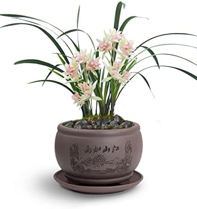 Dahlia 4.8" Beautiful Scenery Zisha Bonsai Planter/Succulent Pot/Flower Pot w. Saucer, Dark Brown by Dahlia