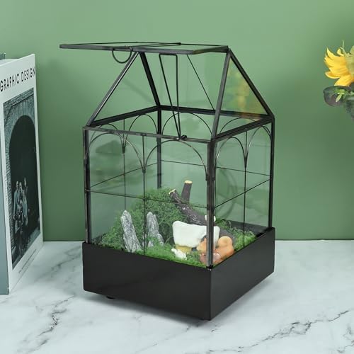 HighFree Glass Terrarium with Metal Tray, Glass Greenhouse Terrarium Kit - Image 2