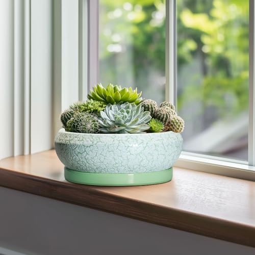 Bonsai Pots - 10 Inch Ceramic Succulent Pot with Drainage Hole and Plant Saucer, Succulent Planters for Indoor Outdoor, Round Planter Bowl, Shallow Planter, Home Decor, Gardening Gift, Green - Image 4