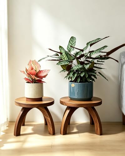 2 Pcs Short Plant Stand Small Wood Plant Stool for Indoor Plants - Image 5
