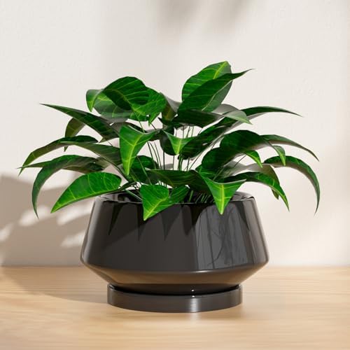 8.3 Inch Black Ceramic Planter with Drainage Hole and Saucer - Image 4