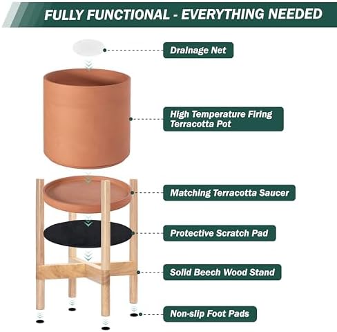D'vine Dev Terracotta Pot with Natural Wood Stand, 12 in, 55-B-J-5 - Image 5