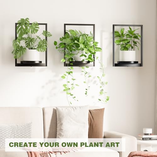 Hanging Planters for Indoor Plants - Aesthetic Photo Frame Style Wall Plant Holder - Metal Window Plant Shelves, Wall Plant Hanger for Lingving Room Home Gardening Wall Decor (4-Pack) - Image 4