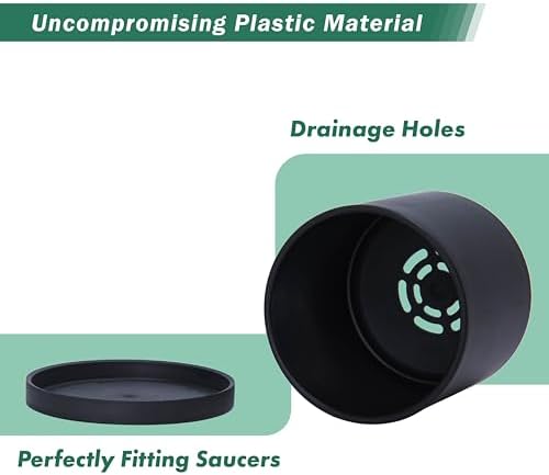 D'vine Dev 6-Pack Black Plastic Planters with Saucers, 4.5 in, 74-Y-F-3 - Image 4