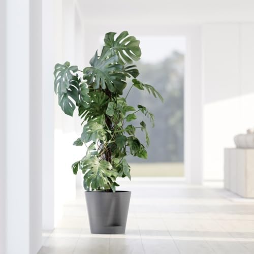 Ecopots Venice 2 Round Flower Planter with Water Reservoir, Grey, 8" - Image 4