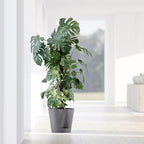 Ecopots Venice 2 Round Flower Planter with Water Reservoir, Grey, 8" - Image 4